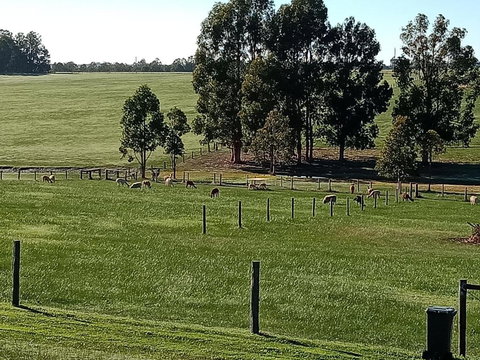 Redtail Ridge Cottages - Darwin Holiday 1