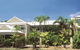 Reef Palms - thumb 0