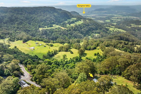 Ribbonwood, Kangaroo Valley - Darwin Holiday 2