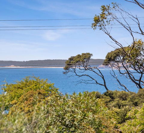 RIPVIEW In Old Lonnie - Darwin Holiday 1