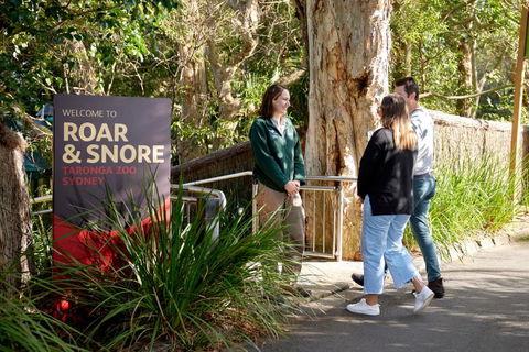 Roar And Snore - Darwin Holiday 1