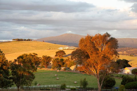 Rose Cottage Yarra Glen - Darwin Holiday 1
