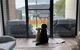 Rosebud Bay Beach House - thumb 1