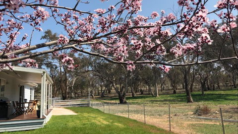 Rosewood Cottage - Darwin Holiday 3