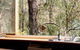 Rustic Treehouse - Aireys Inlet - thumb 1