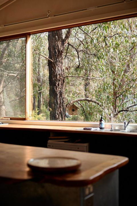 Rustic Treehouse - Aireys Inlet - Darwin Holiday 1