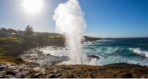 SALTY PALMS -Seaside Studio Apartment - Darwin Holiday 2