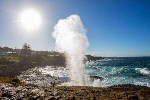 SALTY SOUL KIAMA - Tiny House By The Ocean - Darwin Holiday 3