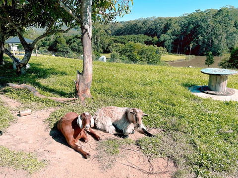 Seven Peaks Farm Stay - Darwin Holiday 2