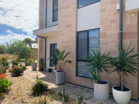 Stellar Suite - Darwin Holiday 1