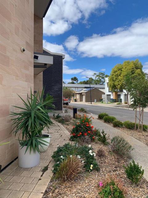 Stellar Suite - Darwin Holiday 0