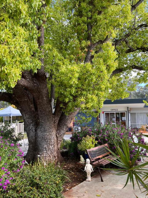 Sturt Motel Balranald - Darwin Holiday 1