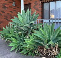 Beautiful Bedroom in Bentleigh East - Darwin Holiday