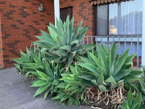 Beautiful Bedroom In Bentleigh East - Darwin Holiday 0