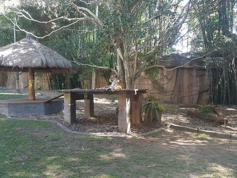 Beerwah House - Darwin Holiday 3