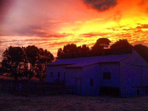 Beggs Farmstay B&B - Darwin Holiday 1
