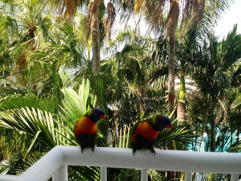 Bel Air Private Condominium - Darwin Holiday 2