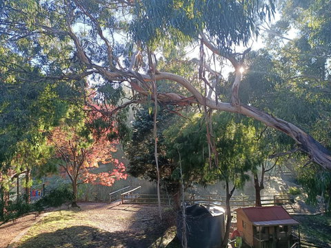 Bells Estate Great Ocean Road Cottages - Darwin Holiday 3