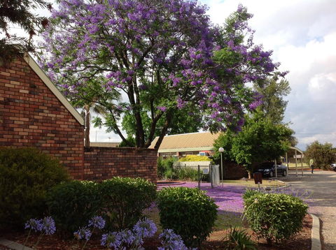 Belvoir Village Motel & Apartments Wodonga - Darwin Holiday 0