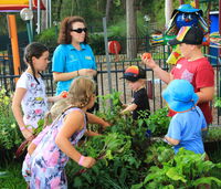 Book Lemon Tree Passage Accommodation Vacations Darwin Holiday Darwin Holiday