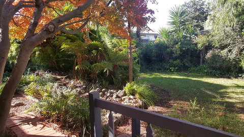 Bird N Branch - Darwin Holiday 1