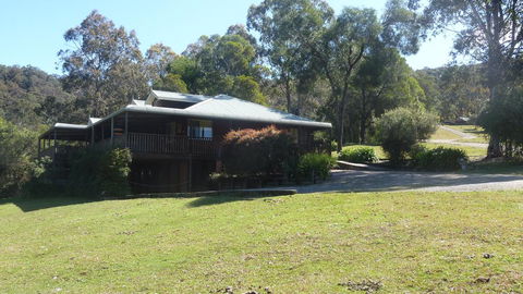 Blackwattle At Barrington Tops - Darwin Holiday 2