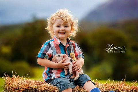 Blackwattle Farm - Darwin Holiday 0