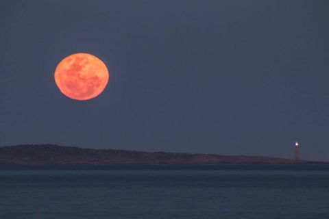 Blue Waters Holiday Cottages - Darwin Holiday 1