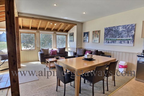 Blue-Bird - Darwin Holiday 2