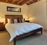 Blue-Bird - Darwin Holiday