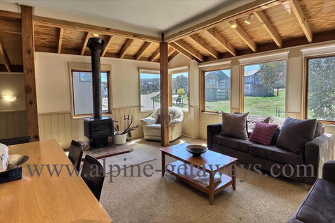 Blue-Bird - Darwin Holiday 3