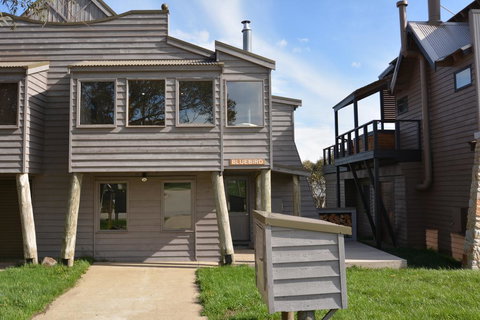 Blue-Bird - Darwin Holiday 1