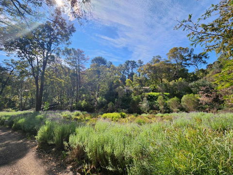 The Lavender Patch - Darwin Holiday 2