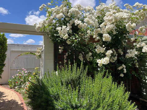 The Merredin Treasury Cottage - Darwin Holiday 2