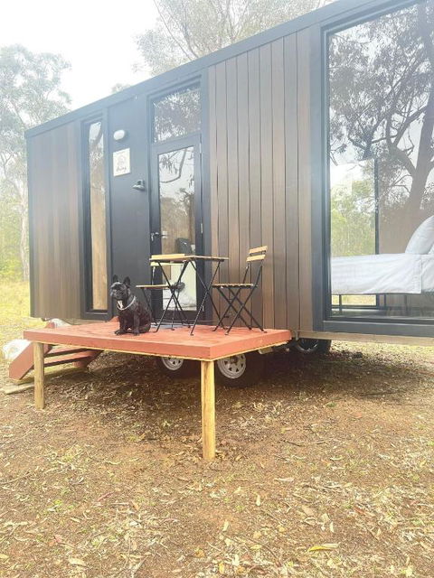 Whispering Wallaby By Tiny Away - Darwin Holiday 1