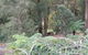 Deer Cottage - thumb 1