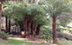 Deer Cottage - thumb 3