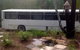 Yamba Hinterland Bush Retreat - Vintage Bus Stay - thumb 3