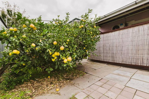 Yarraville Garden Large Home With Yard And Parking - Darwin Holiday 3