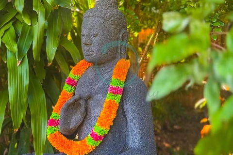 Zenhouse: 6-BR Balinese Tropical Oasis In Nightcliff Central - Darwin Holiday 3