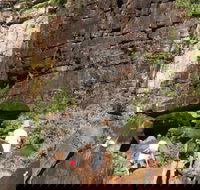 3-Day Kakadu 4WD Camping Safari from Darwin - Darwin Holiday