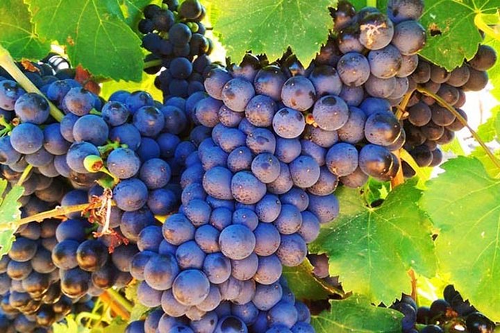 Perth Gpo WA Darwin Holiday