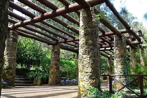 Spring Wildflower (Private) Day Tours - Darwin Holiday 2