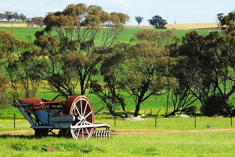 Spring Wildflower (Private) Day Tours - Darwin Holiday 4