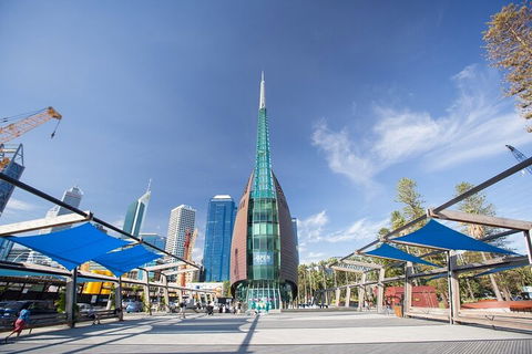 Perth Scavenger Hunt: Perched On A Swan - Darwin Holiday 3