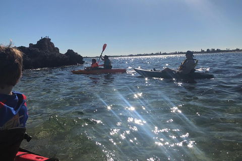 Penguin Island And Fremantle - Canoe, Chocolate & Coffee - Darwin Holiday 1