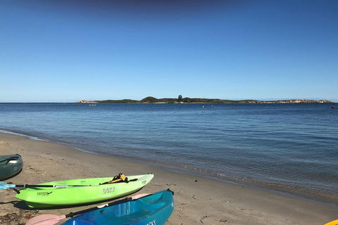 Penguin Island And Fremantle - Canoe, Chocolate & Coffee - Darwin Holiday 2