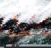 Cruise in Moreton Bay Marine Park and Moreton Island - Darwin Holiday