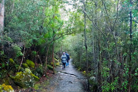 Kunanyi/Mt Wellington Tour & Hobart Hop-On Hop-Off Bus - Darwin Holiday 1