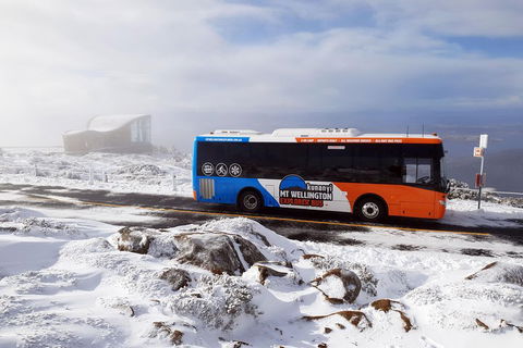 Kunanyi/Mt Wellington Tour & Hobart Hop-On Hop-Off Bus - Darwin Holiday 2